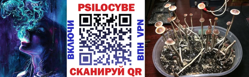 продажа наркотиков Благовещенск Галлюциногенные грибы MAGIC MUSHROOMS