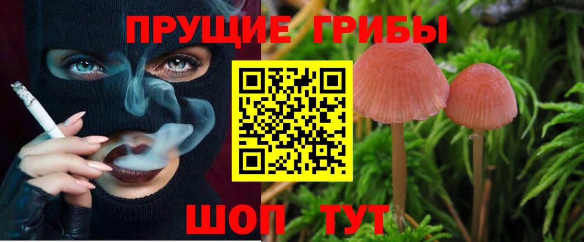 Псилоцибиновые грибы ЛСД  Вход с VPN  Благовещенск  Псилоцибиновые грибы Psilocybine cubensis 